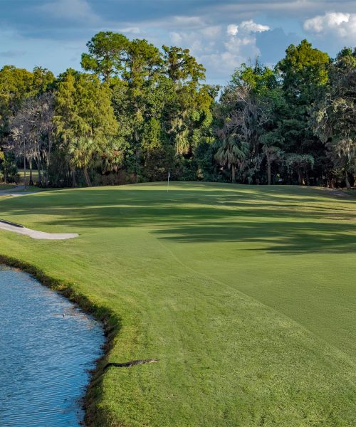 Seven Springs Golf and Country Club Hole 8