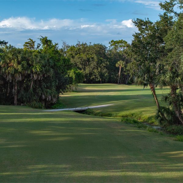 Seven Springs Golf and Country Club Executive Course Hole 10
