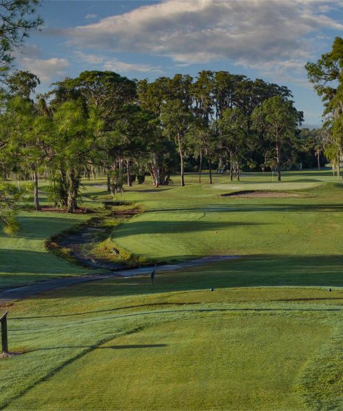 Seven Springs Golf and Country Club Executive Course Hole 4