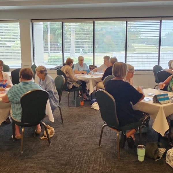 members playing board games